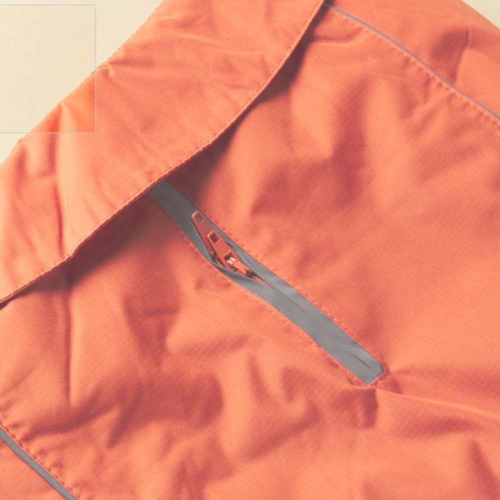 Winter Dogs Jacket - Picture 3 of 3